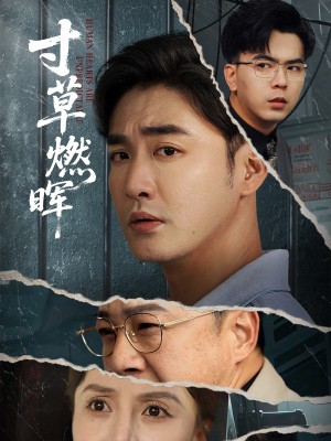 寸草燃晖（70集）