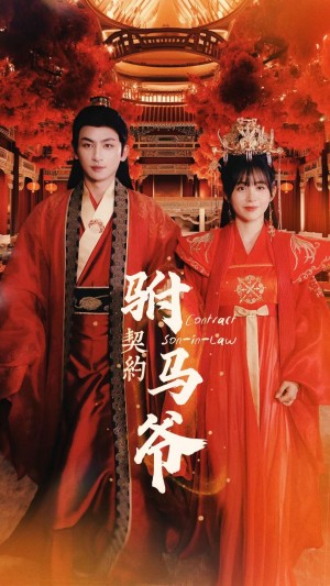 《契约驸马爷》(74集)