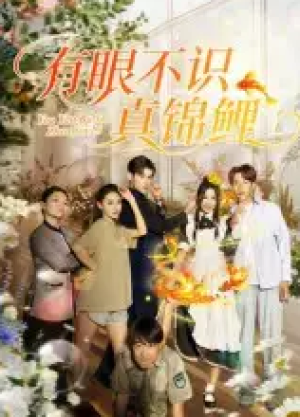 有眼不识真锦鲤（35集）