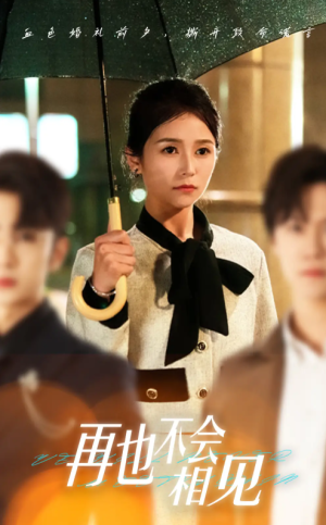 再也不会相见（33集）