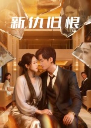 新仇旧恨（51集）