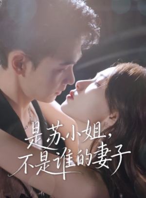 是苏小姐不是谁的妻子（39集）