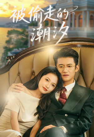 被偷走的潮汐（60集）