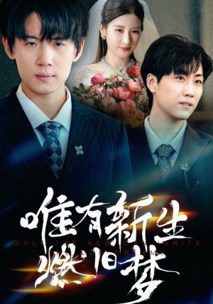 唯有新生燃旧梦（55集）