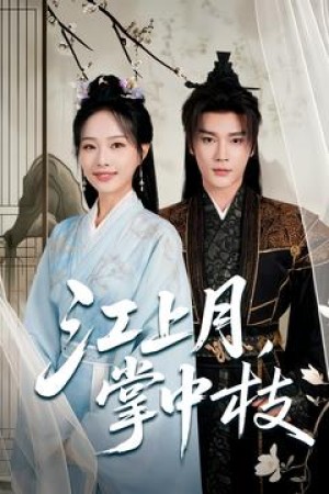 江上月掌中枝（80集）