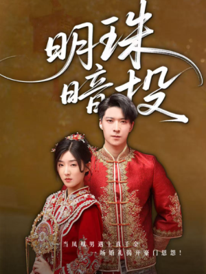 明珠暗投（60集）