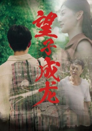 新《望子成龙》(74集)