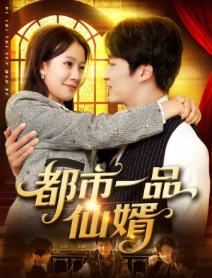 都市一品仙婿（102集）