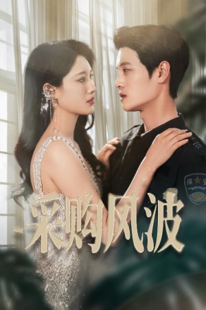 采购风波（45集）