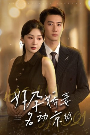 好孕娇妻名动京城（32集）