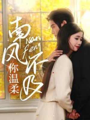 南风不及你温柔（74集）