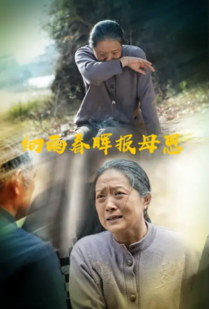 细雨春晖报母恩（30集）