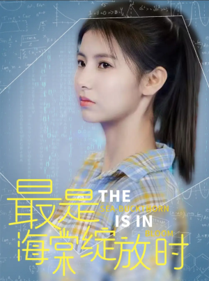 最是海棠绽放时（33集）