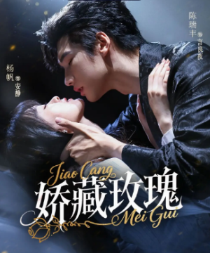 矫藏玫瑰（72集）