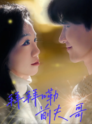 拜拜嘞前夫哥（93集）