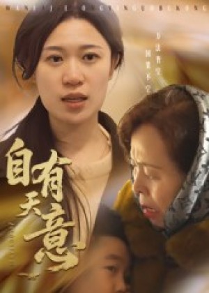 自有天意（35集）