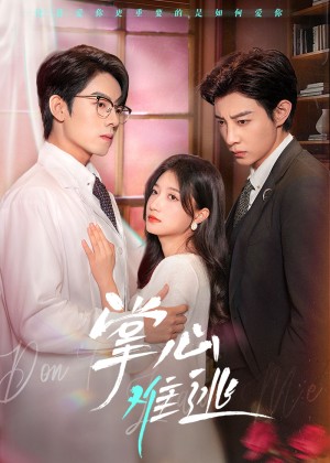 掌心难逃（63集）