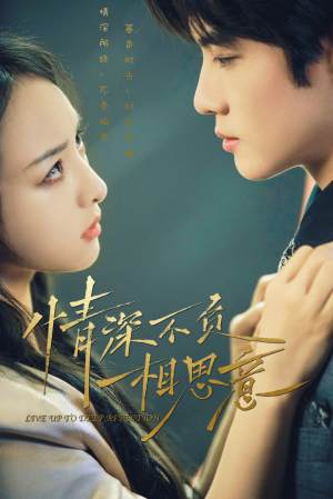 情深不负相思意(90集)