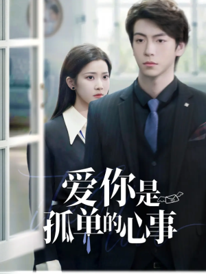 重逢时他爱意如初（爱你是孤单的心事）（69集）