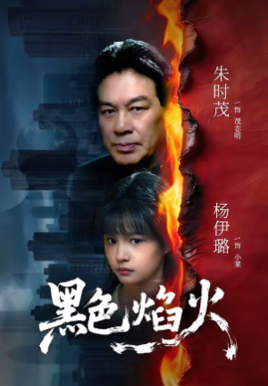 黑色焰火（41集）