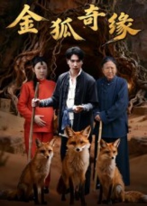金狐奇缘（42集）