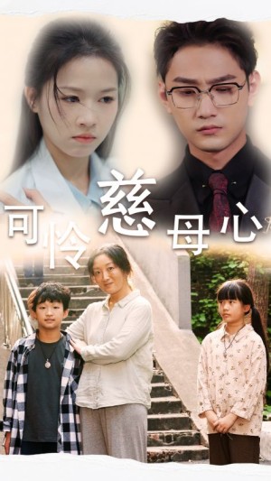 可怜慈母心（36集）