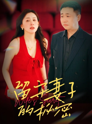 留守妻子的秘密（28集）