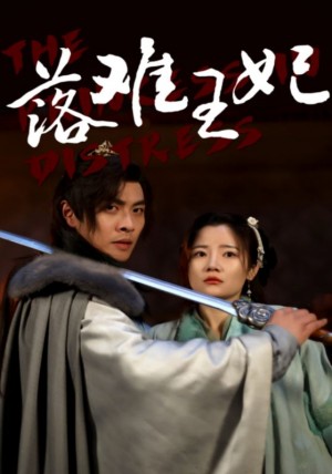 《落难王妃》(70集)