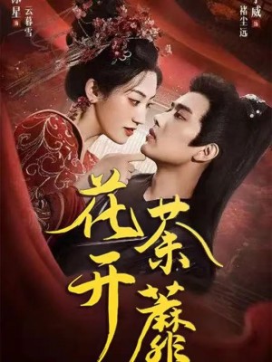 花开荼蘼（88集）