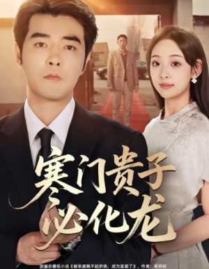 寒门贵子必化龙（41集）