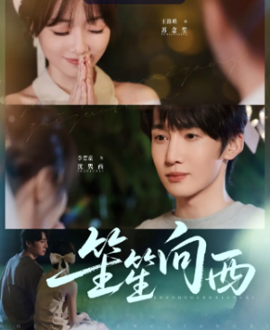 笙笙向西（75集）