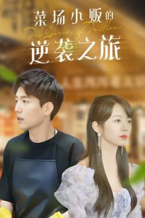 物价贬值莱场小贩钞级逆袭（菜场小贩的逆袭之旅）物价贬值：莱场小贩钞级逆袭（90集）