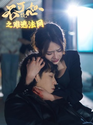 不可饶恕之难逃法网（20集）