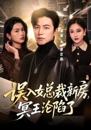 误入女总裁新房冥王沦陷了（80集）
