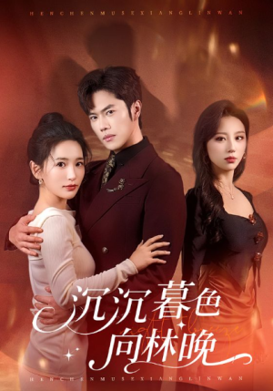 沉沉暮色向林晚（60集）