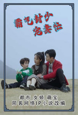 《霸气封少宠妻忙》(80集)