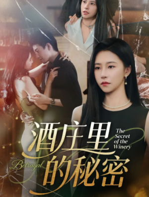 酒庄里的秘密（54集）
