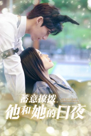 蓄意撩拨他和她的日夜（50集）