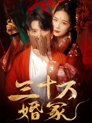 三十万婚冢（51集）