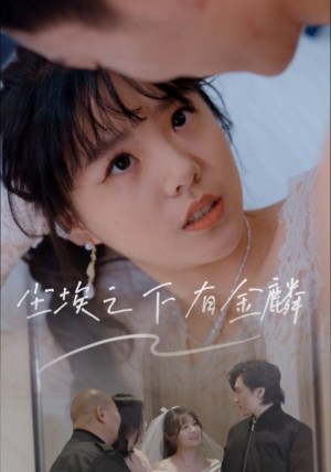 尘埃之下有金鳞（60集）