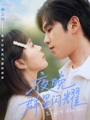 夜晚群星闪耀（70集）