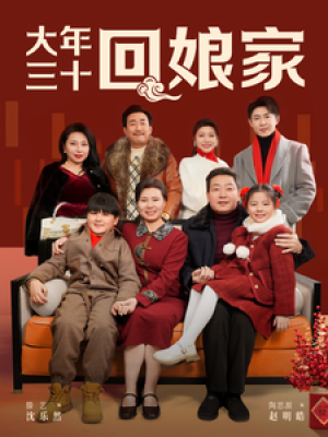 大年三十回娘家（30集）