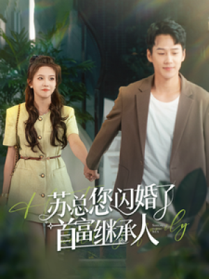 苏总您闪婚了首富继承人（100集） 