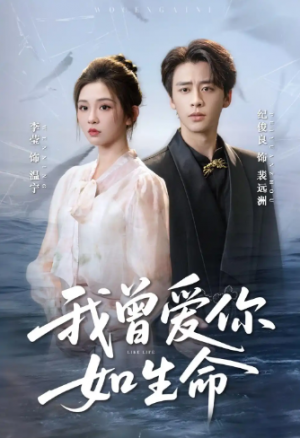 我曾爱你如生命＆宁夜向远（61集）