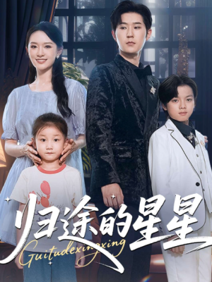 归途的星星（100集）