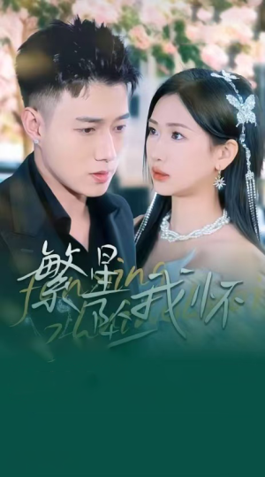 繁星坠我怀（再次爱上你）（79集）