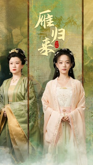 《雁归来》(65集)