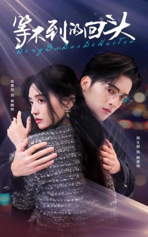 等不到的回头（35集）