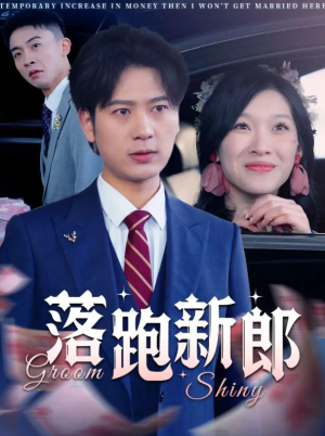 落跑新郎（80集）