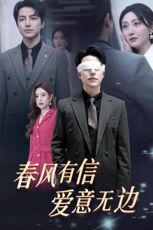 春风有信爱意无边（失明之后爱意尽毁）（30集）